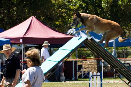 0019-11-291