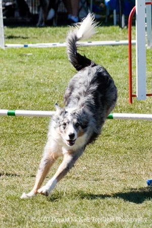 0019-09-284