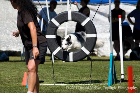 0019-03-075