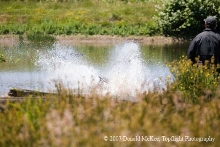0015-06-083