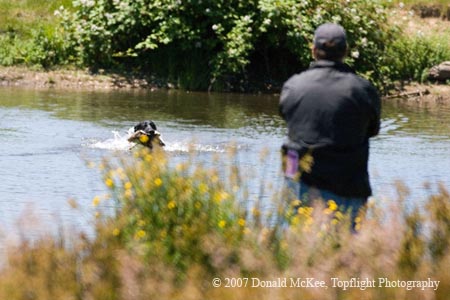 0015-06-087